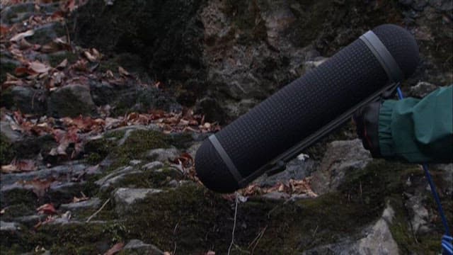 숲속에서 자연 소리 녹음하기