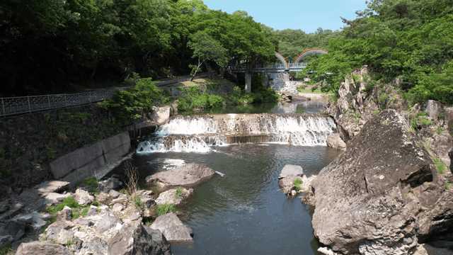 다리와 푸른 숲이 있는 고요한 강
