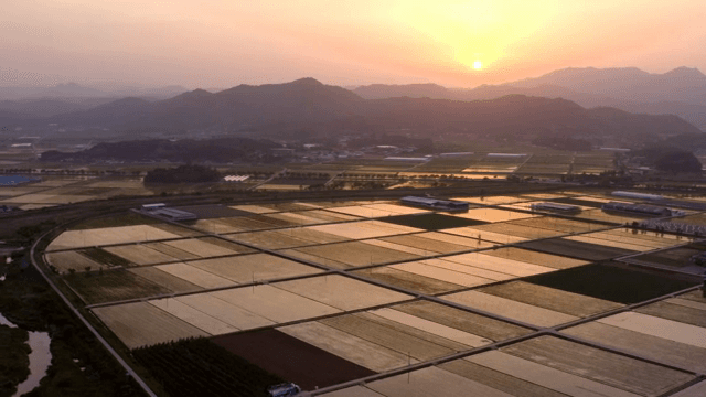 Sunset over expansive rice fields and village