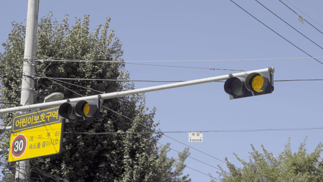 횡단보도의 신호등