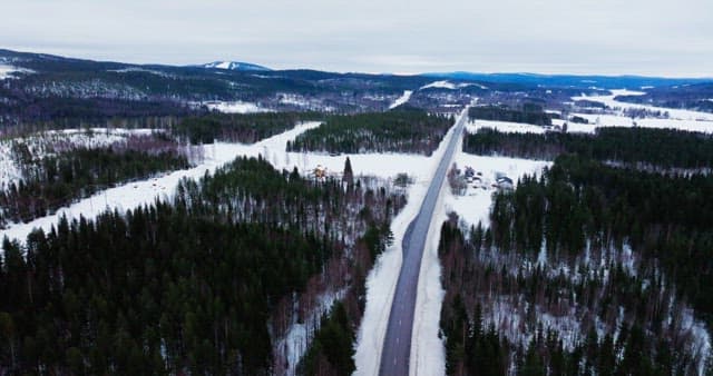 Snowy forest landscape with a long road