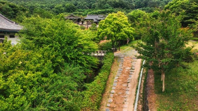 Traditional hanok village surrounded by lush trees