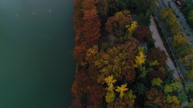 Urban Park in Autumn