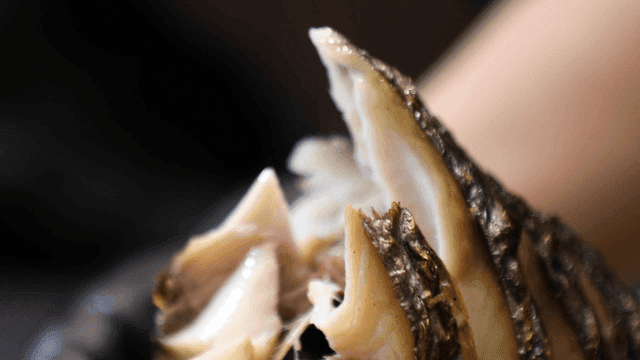 Hand tearing grilled fish