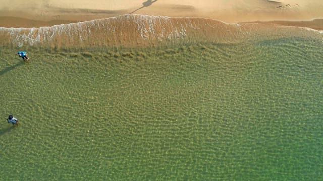 People enjoying the emerald beach