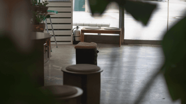 식물과 좌석이 있는 실내 공간