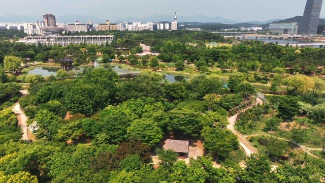 멀게 보이는 도시를 배경으로 한 푸른 공원