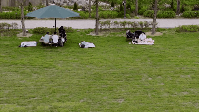 People enjoying a picnic in a park