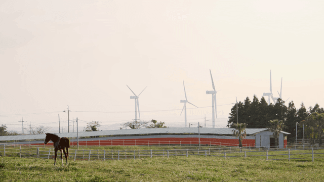 Peaceful farm with horses and wind turbines