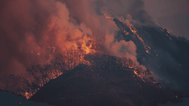 A forest fire raging on a mountain