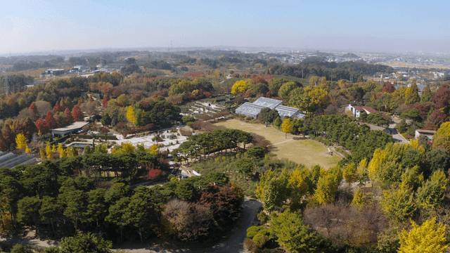 식물원의 경치 좋은 풍경