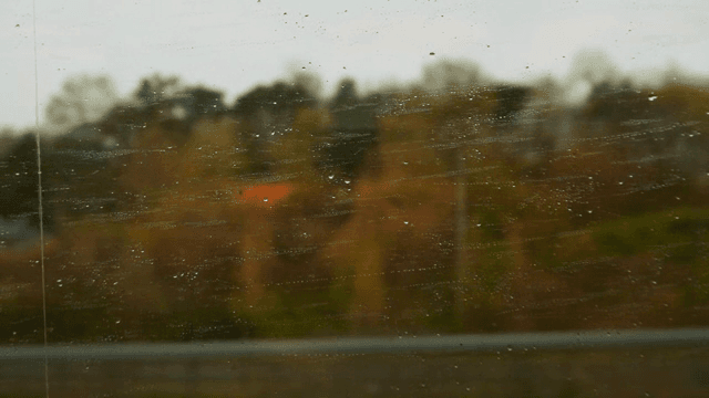 기차 창문을 통해 본 비 오는 시골 풍경
