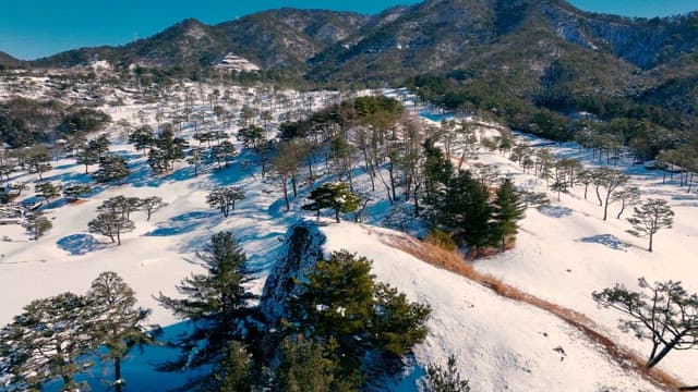 Snow-covered Landscape with Pine Trees and Hills