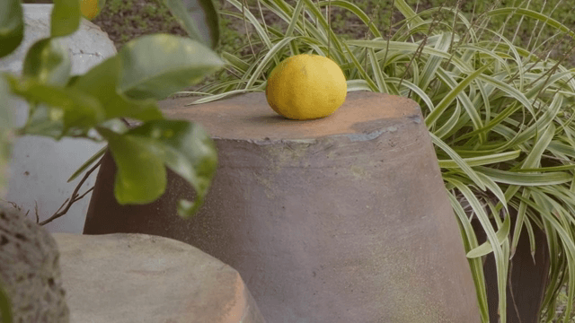 A tangerine on a traditional Korean jar