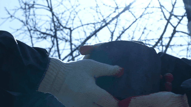 People exchanging briquettes under bare tree