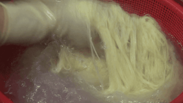 Gloved hands washing noodles in water