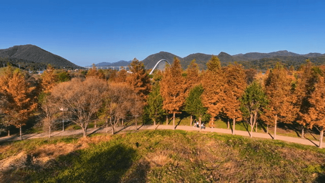 가을 나무와 먼 산