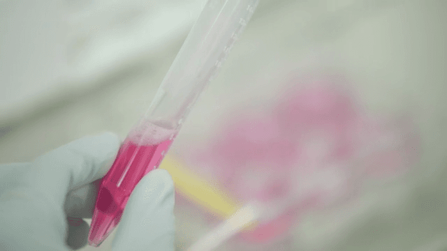 과학자가 분홍색 액체가 든 시험관을 다루는 모습