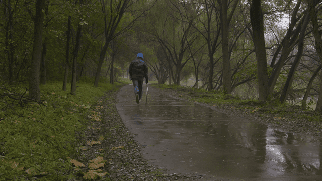 Person running while rolling hoop on rainy forest path