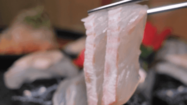 Fresh halibut sashimi picked up with chopsticks