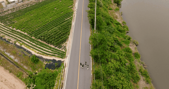 People running between the country road next to the field and the river