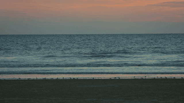 어두운 파도가 있는 고요한 해변