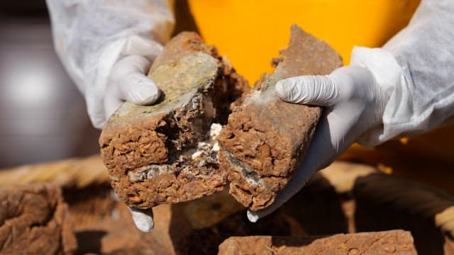 장갑을 끼고 숙성된 발효 식품 메주를 검사하는 모습