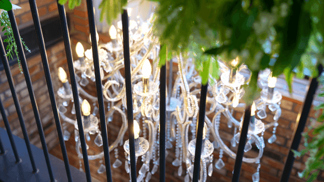 아늑한 공간의 샹들리에와 녹색 식물