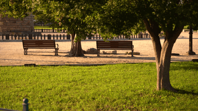 Calm park with tree shade and bench under sunlight