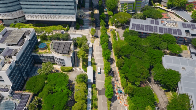 높은 건물이 있는 번화한 도시 거리