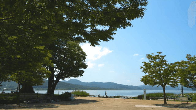 Peaceful lakeside park with trees
