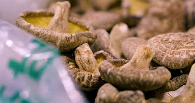 가득 쌓여있는 신선한 표고버섯