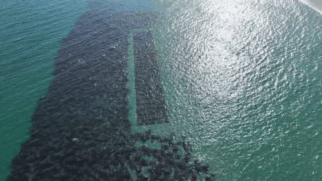 Breakwater in clear turquoise sea