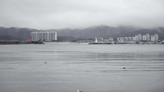 건물과 갈매기가 있는 해안 도시