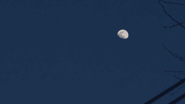Moon in night sky