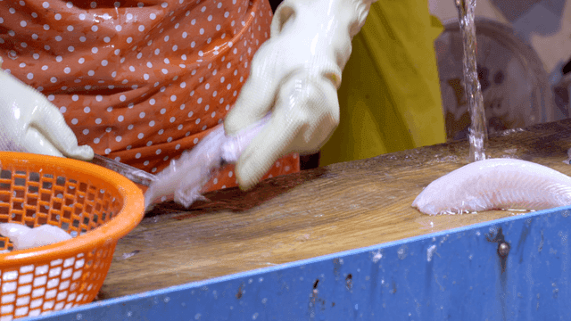 Person cleaning and slicing fresh fish