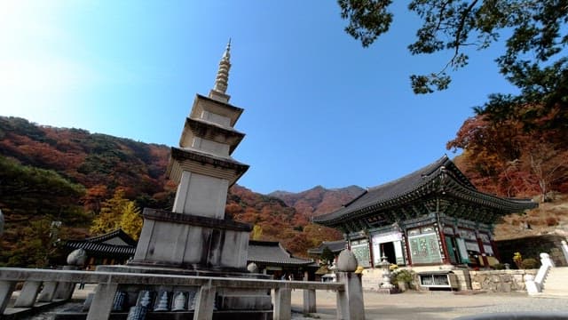 Temple and stone pagoda surrounded by autumn leaves under a clear and sunny sky