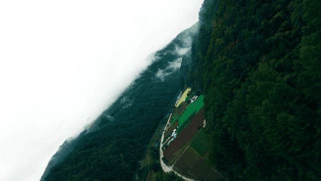 Quiet, foggy mountain valley