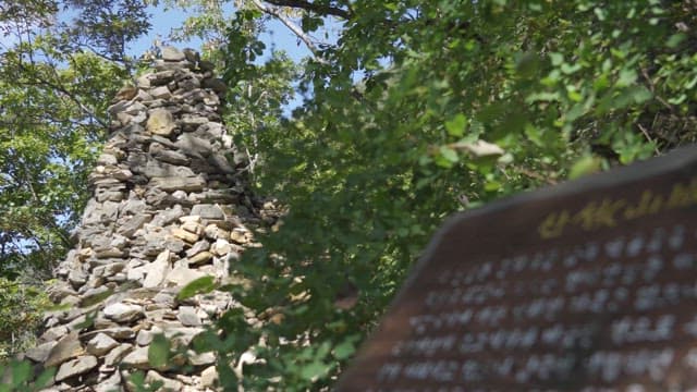 Stone tower in the midst of a lush green forest