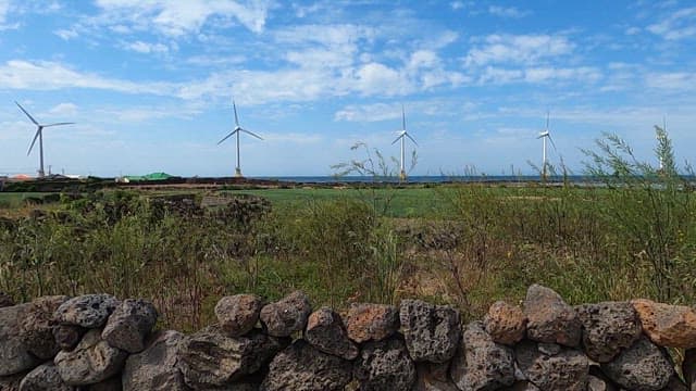 Wind turbines beyond the stone walls of Jeju Island on a sunny day