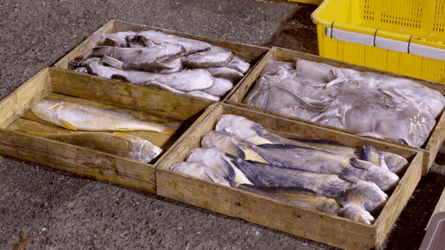 Various fish displayed in wooden crates