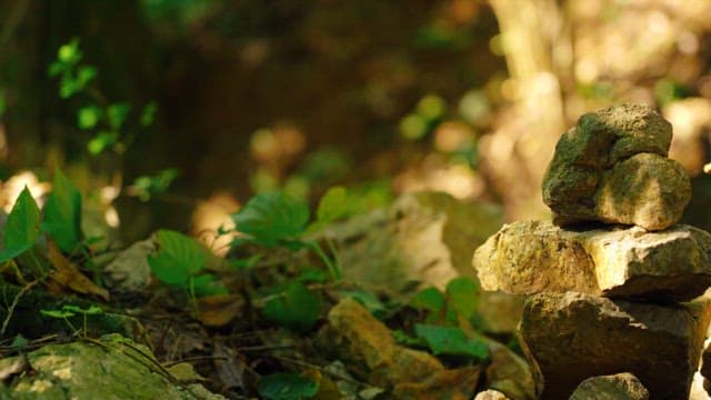 Stack of balanced stones in a sunlit forest