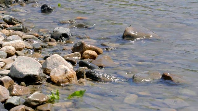 Rocks and pebbles in a flowing river