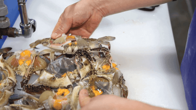 Fresh crabs with their shells cleaned