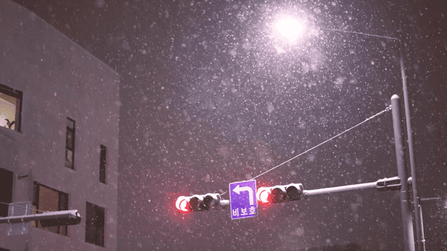 Snow falling on night street traffic light