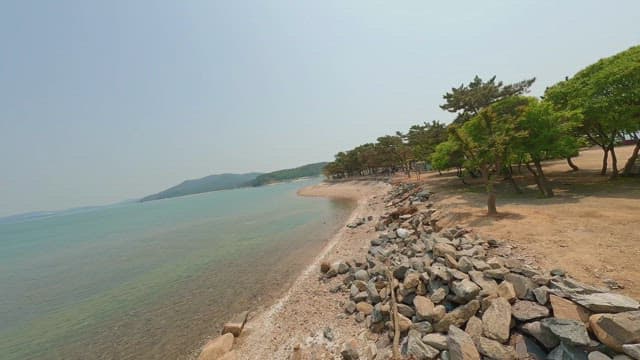 Serene beach with clear sea and trees