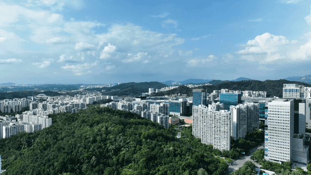 Cityscape with surrounding greenery