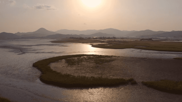 Sunset over a serene wetland landscape