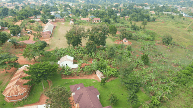 Aerial view of a rural village with farms