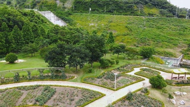 산책로와 나무가 있는 푸른 공원